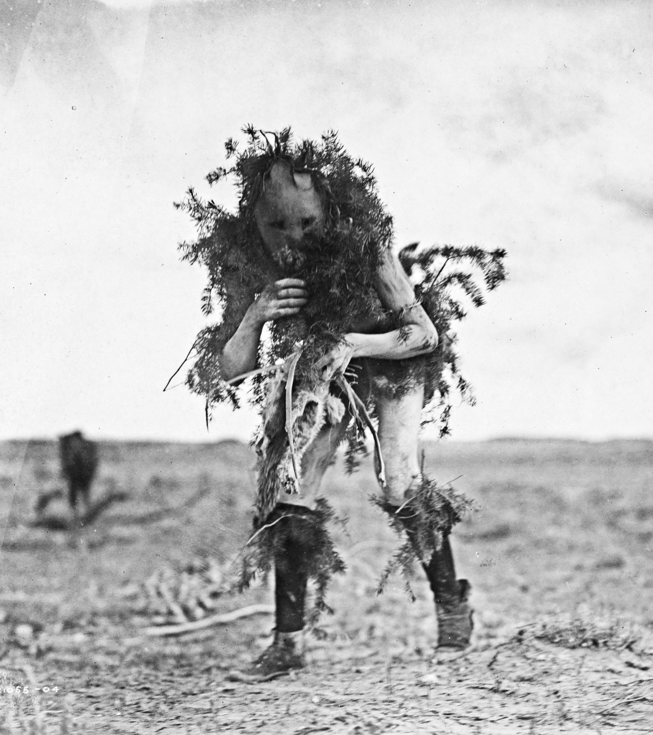 [Yebichai, the beggar, Tonenili-Navajo Indian, dressed in spruce branches]