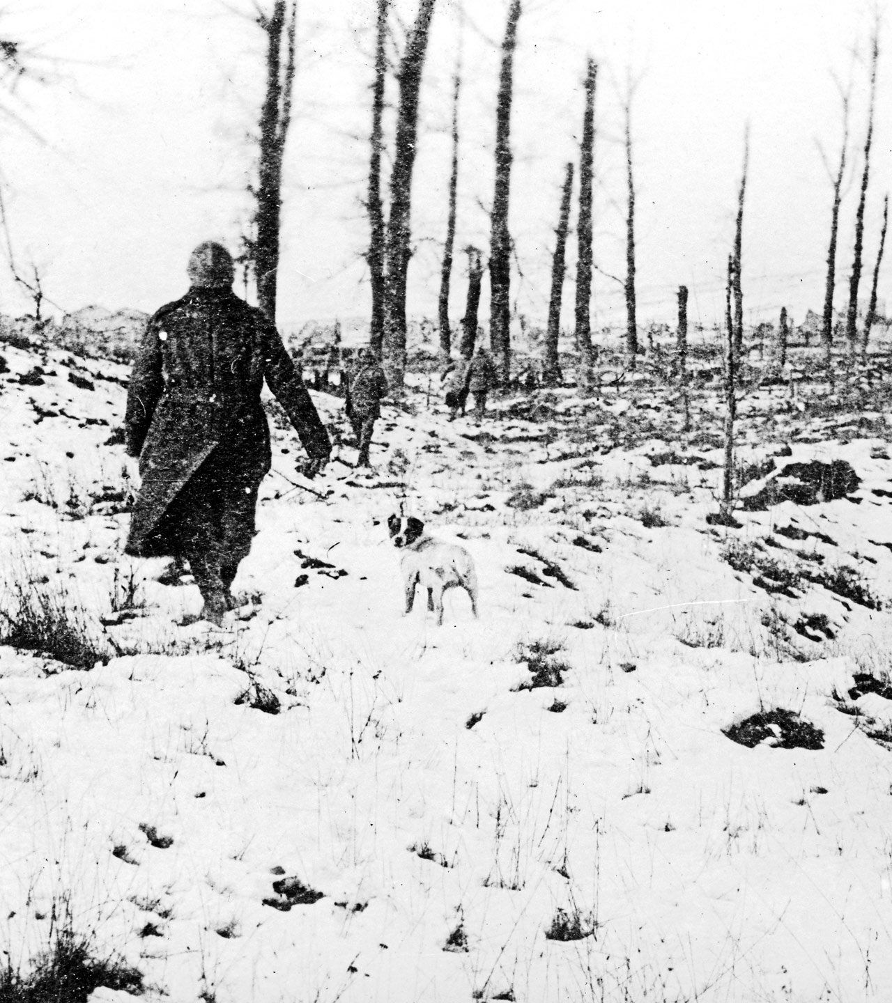 Winter landscape showing desolation caused by shelling near Verdun