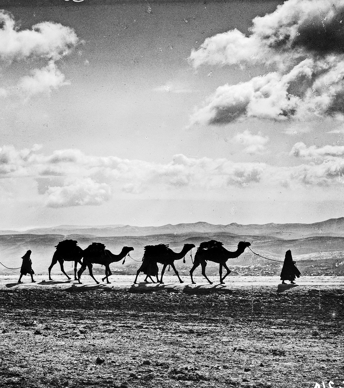 [Egyptian camel transport passing over Olivet, 1918]